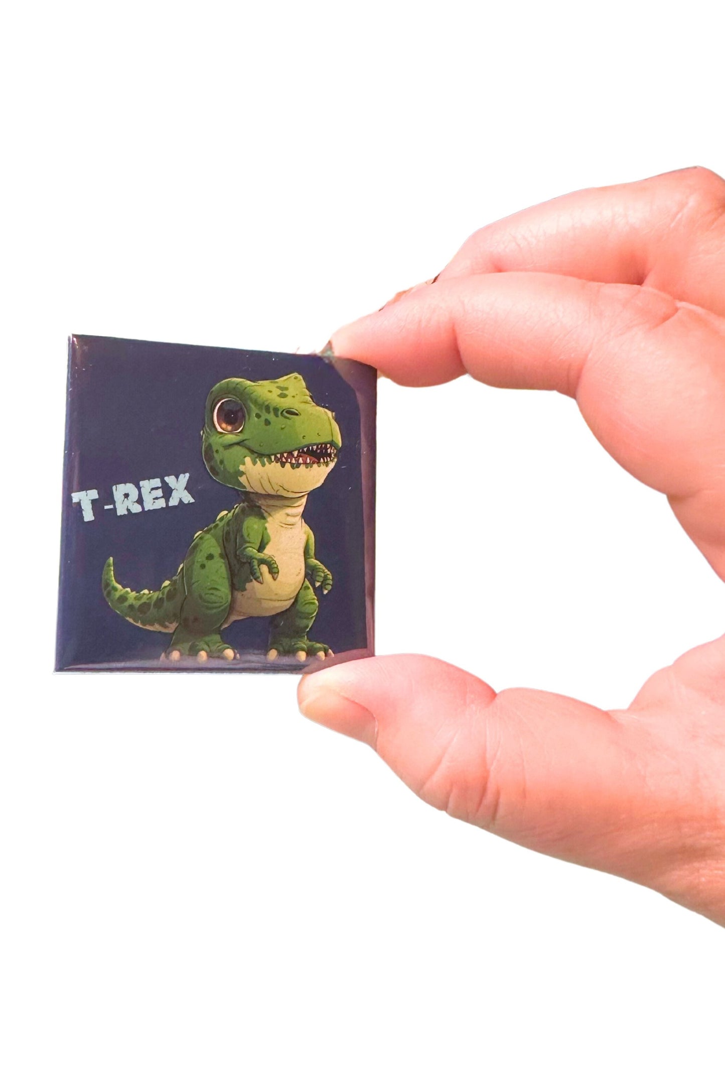 Dinosaur Magnet Set